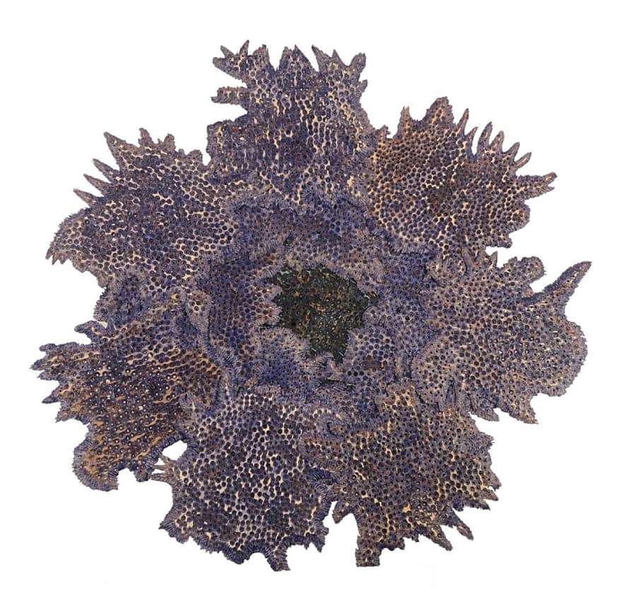 ಮರದ ಅದ್ಭುತ ಕಲಾಕೃತಿಗಳು