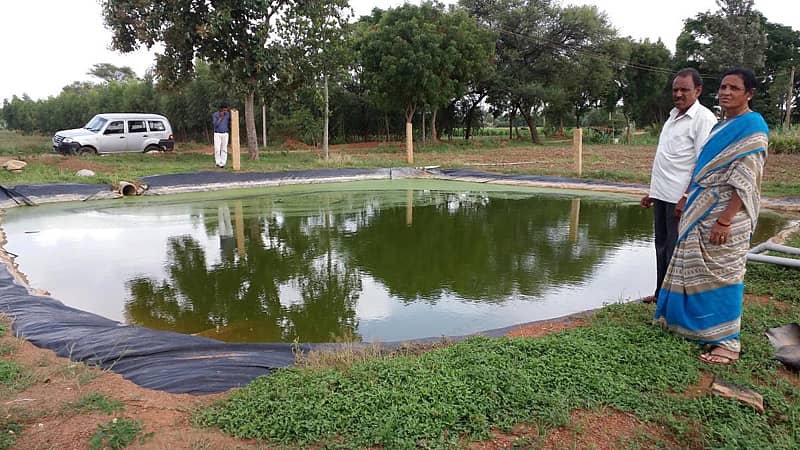 ಚರಂಡಿ ನೀರಿನಲ್ಲಿ ಕೃಷಿ