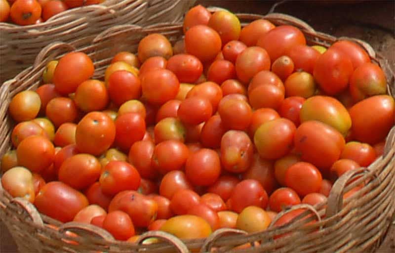 ಧನುರ್ಮಾಸ ಆರಂಭ; ತರಕಾರಿ ಧಾರಣೆ ಕುಸಿತ