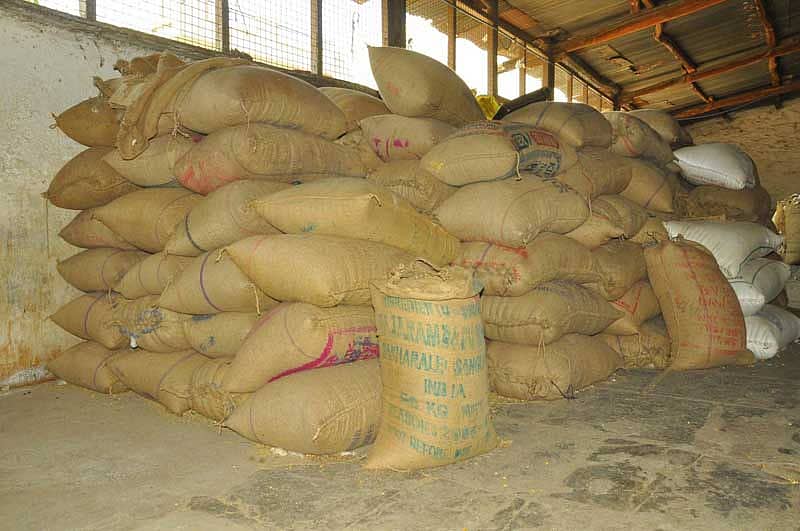 ಸಜ್ಜೆ ಧಾರಣೆ ಕುಸಿತ: ಬೆಳೆಗಾರ ಕಂಗಾಲು