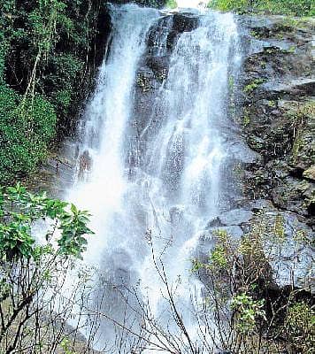 ಭಲೇ ಭಲೇ ಉಂಬಳೆ