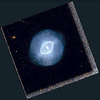 ಮೀನಿನ ಹೊಟ್ಟೆಯೊಳಗಿನ ಕುಚ್ಚುಗಳು