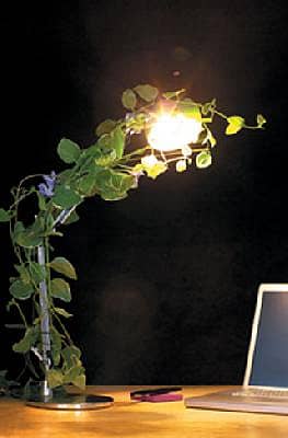 ನಮ್ಮ ಭಾಷೆಗೆ e ಭಾಷ್ಯ