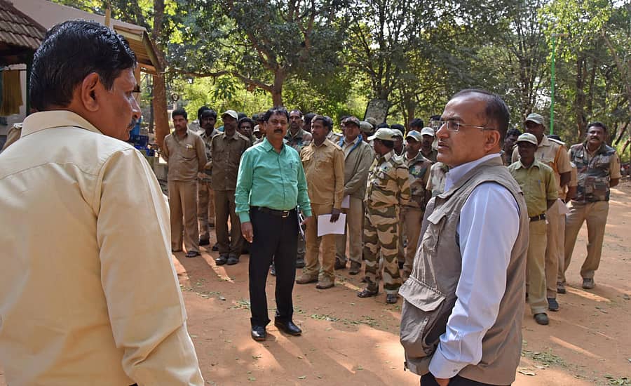 22ರಿಂದ ಹುಲಿ ಗಣತಿ ಕಾರ್ಯ