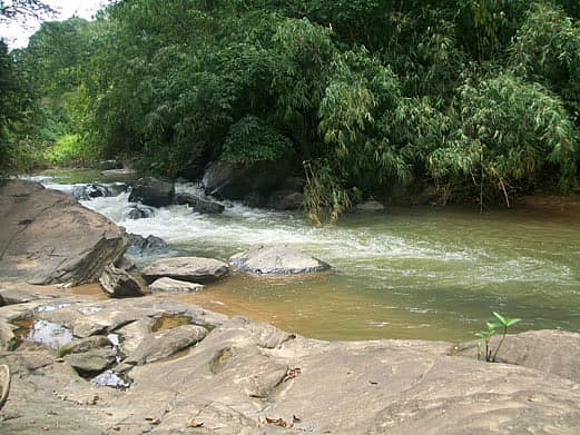 ಅರಣ್ಯನಾಶ ಅಂದಾಜು ಇನ್ನೂ ಇಲ್ಲ