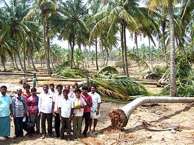 ತಾಲ್ಲೂಕಿನ ಹಿಂಡಸಹಳ್ಳಿ ಗ್ರಾಮದಲ್ಲಿ ಸೋಮವಾರ ರಾತ್ರಿ ಮಳೆ–ಗಾಳಿಗೆ ಸಿಲುಕಿ ನೆಲಕಚ್ಚಿದ ಗ್ರಾಮದ ರಾಜೇಗೌಡ ಹಾಗೂ ನಿಂಗರಾಜೇಗೌಡ ಎಂಬುವವರ ತೆಂಗಿನಮರಗಳು