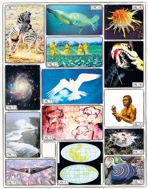 ವಿಜ್ಞಾನ ಜಗತ್ತು – ಎಷ್ಟು ಗೊತ್ತು?