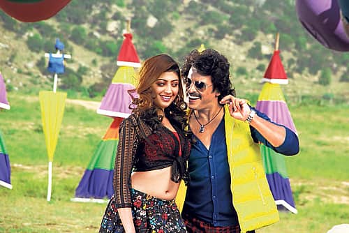 ಕುಲಾಂತರಿ ತಳಿ!