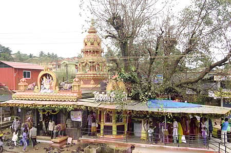 ಕೊಪ್ಪದ ಅರಳಿಕಟ್ಟೆ ನಾಗದೇವಸ್ಥಾನದಲ್ಲಿ ನಾಗರ ಪ್ರತಿಮೆಗೆ ತನಿ ಪೂಜೆ ಸಲ್ಲಿಸುತ್ತಿರುವ ಭಕ್ತ ಸಮೂಹ