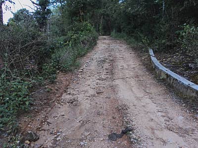 ನರಸಿಂಹರಾಜಪುರ ತಾಲ್ಲೂಕು ತಟ್ಟೆಸರದಿಂದ ದಾವಣ ಗ್ರಾಮಕ್ಕೆ ಹೋಗುವ ರಸ್ತೆ ದುರವಸ್ಥೆ.