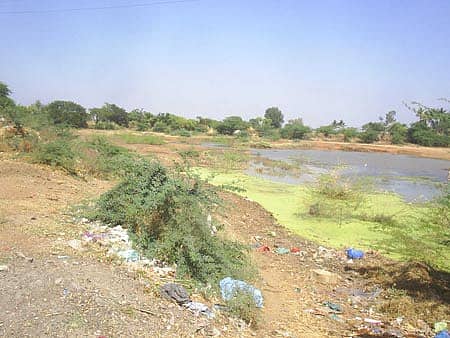 ಯಲಬುರ್ಗಾ ತಾಲ್ಲೂಕು ಕರಮುಡಿ ಗ್ರಾಮಕ್ಕೆ ಹೊಂದಿಕೊಂಡ ಕೆರೆಯ ತುಂಬಾ ತಿಪ್ಪೆಗಳ ರಾಶಿ