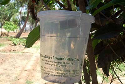 ಮರದ ಕೊಂಬೆಯೊಂದಕ್ಕೆ ಕಟ್ಟಲಾಗಿರುವ ಮೋಹಕ ಬಲೆ.