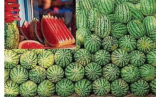 ಧಗೆ ತಣಿಸಲು ತಂಪು ಕಲ್ಲಂಗಡಿ