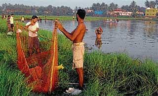 ಬಗ್ಗುಂಡಿ: ಕೆರೆಯಲ್ಲಿ ಮೀನು ಹಿಡಿಯುವ ಜಾತ್ರೆ