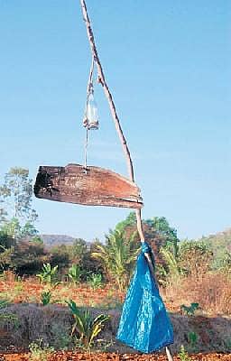 ಹಂದಿ ಬೆದರಿಸಲು ಗಳ ಗಂಟೆ