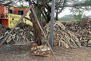 ಹುಣಸೆ ಸೌದೆ ಕೊರತೆ ಭೀತಿ !