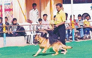 ಆಯುರ್ವೇದ ವೈದ್ಯರ ಶ್ವಾನ ಪ್ರೀತಿ