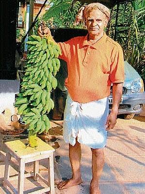 ಸಾವಯವ ಕೃಷಿಯಲ್ಲಿ ಭಟ್ಟರ ಸಾಧನೆ