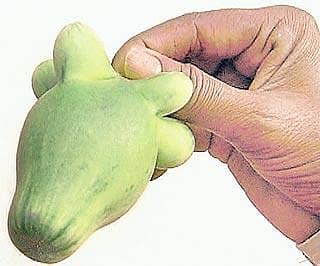 ನಾಟಿ ಬದನೆಗೆ ಸಾಟಿಯಿಲ್ಲ