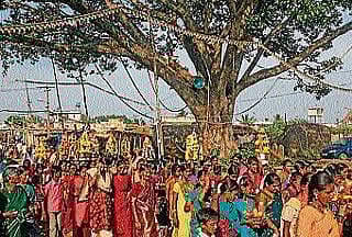 ಶಿಡ್ಲಘಟ್ಟ: ಗ್ರಾಮದೇವತೆಗಳ ಜಾತ್ರೆ