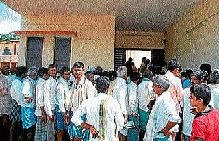 ಗೋವಿನ ಜೋಳ ಬೀಜಕ್ಕೆ ಭಾರಿ ಬೇಡಿಕೆ