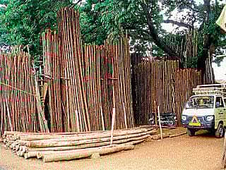 ಕಳೆಗುಂದುತ್ತಿರುವ ಬಂಬೂ ಬಜಾರ್!