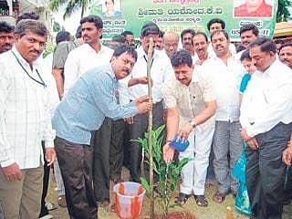 10 ಸಾವಿರ ಸಸಿ ನೆಡುವ ಗುರಿ