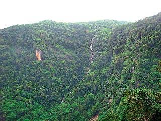 ವಿಶ್ವಪರಂಪರೆ ಪಟ್ಟಿಗೆ ಪಶ್ಚಿಮಘಟ್ಟ ಸೇರ್ಪಡೆ: ರಾಜ್ಯದ ವಿರೋಧ