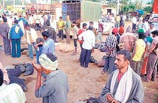 ಹಂದಿಗಳ ಸಂತೆ