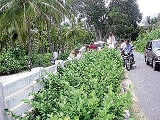 ಸೇತುವೆಯಿಂದ ಬಿದ್ದು ಇಬ್ಬರ ಸಾವು