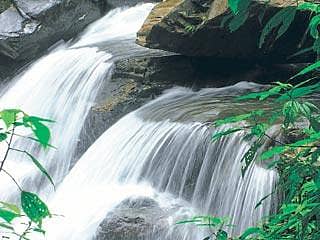 ಪಶ್ಚಿಮಘಟ್ಟ: ಯಾಕಿಷ್ಟು ವಿರೋಧ?