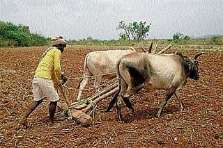 ಸುರಪುರ: ತೇವಾಂಶ ಕೊರತೆ, ಬಿತ್ತನೆ ಕುಂಠಿತ