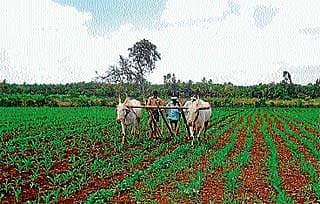 ಕೈಕೊಟ್ಟ ಮುಂಗಾರು: ಆತಂಕದಲ್ಲಿ ರೈತರು