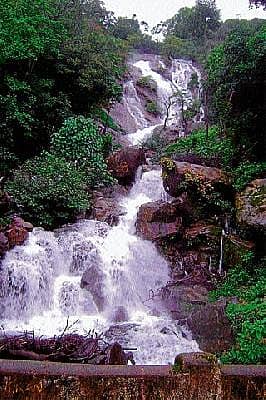 ಹಾಲ್ನೊರೆ ಜಲಪಾತ..