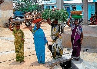 ಬೇವಿನ ಸೊಪ್ಪಿನ ನಡುವೆ ಜೋಕುಮಾರ