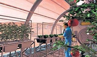 ಬಾಹ್ಯಾಕಾಶ ಕೈ ತೋಟ?