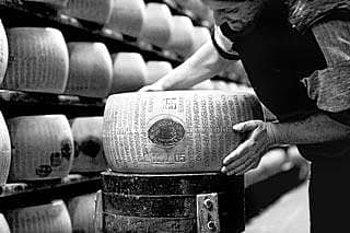 ಇಟಲಿ ಡೇರಿಗಳಲ್ಲಿ ಪಂಜಾಬಿ ಪ್ರಾಬಲ್ಯ!