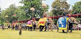 ಸಕ್ರೆಬೈಲು: ರಂಜಿಸಿದ ಆನೆಗಳ ಹಬ್ಬ