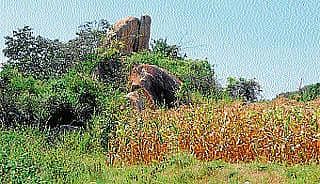 ಧ್ವನಿ- ಪ್ರತಿಧ್ವನಿಯ ಬಂಡೆಗಲ್ಲು!