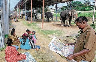 ಕಾವಾಡಿಗಳ ಕೂಗು ಅರಣ್ಯರೋದನ!