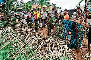 ಕಬ್ಬಿಗೆ ದರ ನಿಗದಿ ಪ್ರಹಸನ: ಬಸವಳಿದ ಬೆಳೆಗಾರ