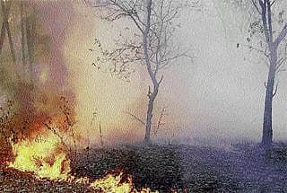 ಹಾಸನ: ಎರಡು ಪ್ರತ್ಯೇಕ ಬೆಂಕಿ ಅವಘಡ