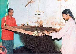 ನೇತಾಡುವ ಜರಡಿ