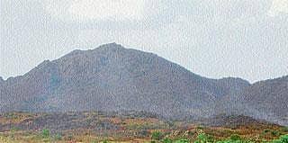 ದೊಡ್ಡಹೊಟ್ಟೆ ರಂಗನಾಥಸ್ವಾಮಿ ಅರಣ್ಯಕ್ಕೆ ಬೆಂಕಿ