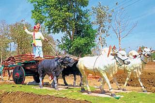 ರಂಗಭೂಮಿ ರಾಜನಿಗೊಂದು ಶಿಲ್ಪ
