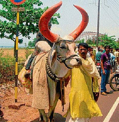 ಭವಿಷ್ಯ ಕೇಳಿ ಹಣಕೊಟ್ಟರು; ಮರಳಿ ಪಡೆದರು!