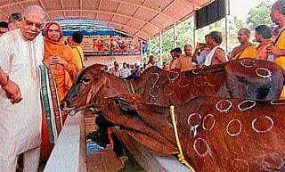 ಗೋಶಾಲೆಯಿಲ್ಲದ ದೇವಾಲಯ ಅಪೂರ್ಣ