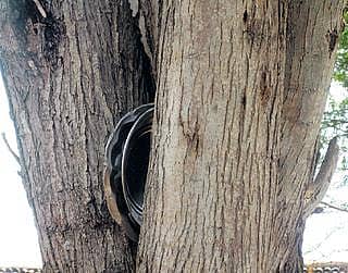 ಯಾತನೆಗೆ ಬಿಡುಗಡೆ ಎಂದು ?