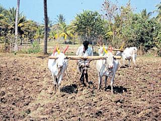 ಹದ ಬೆದೆ ನೋಡಿ; ವ್ಯವಸಾಯ ಮಾಡಿ