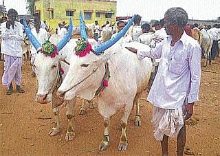 ಸರ್ಕಾರಕ್ಕ ಎಲ್ಲಿ ಗೊತ್ತಾಕೈತ್ರಿ ರೈತರ ಕಷ್ಟಾ?